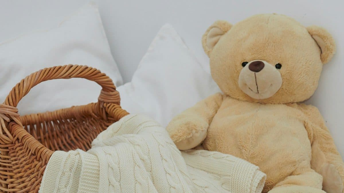 brown bear plush toy